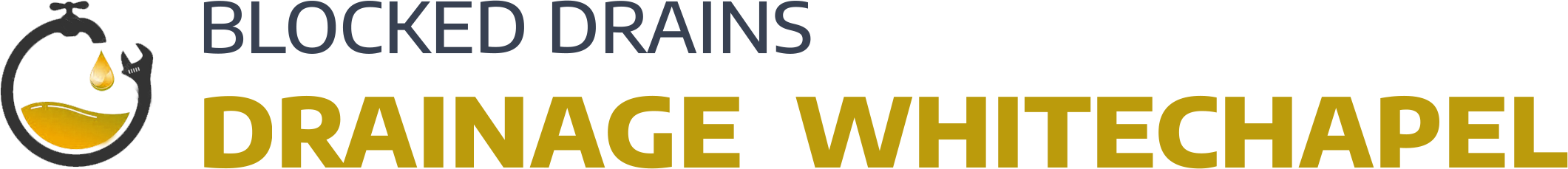 website logo
